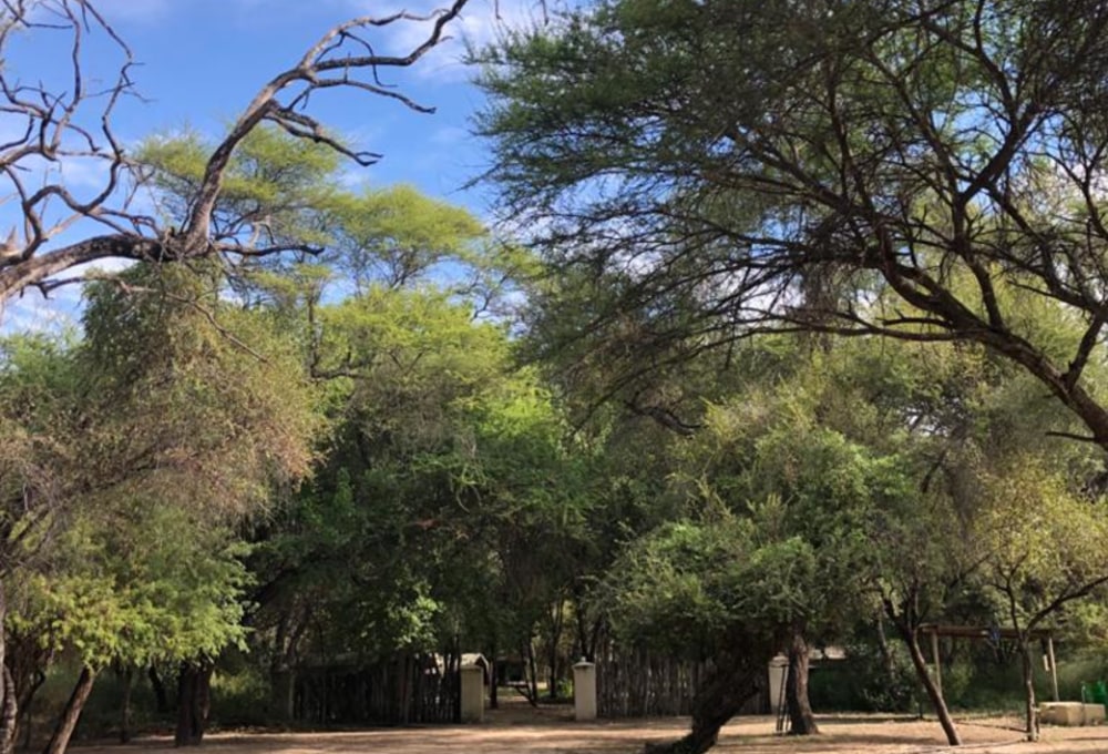 Delta Rain Sitatunga Campsite
